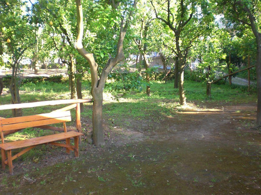 Chalet Paradiso Sorrento Kültér fotó